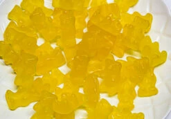 Honey Bears -Snack Sales 2024 Allseps 20Honey 20Bears 202